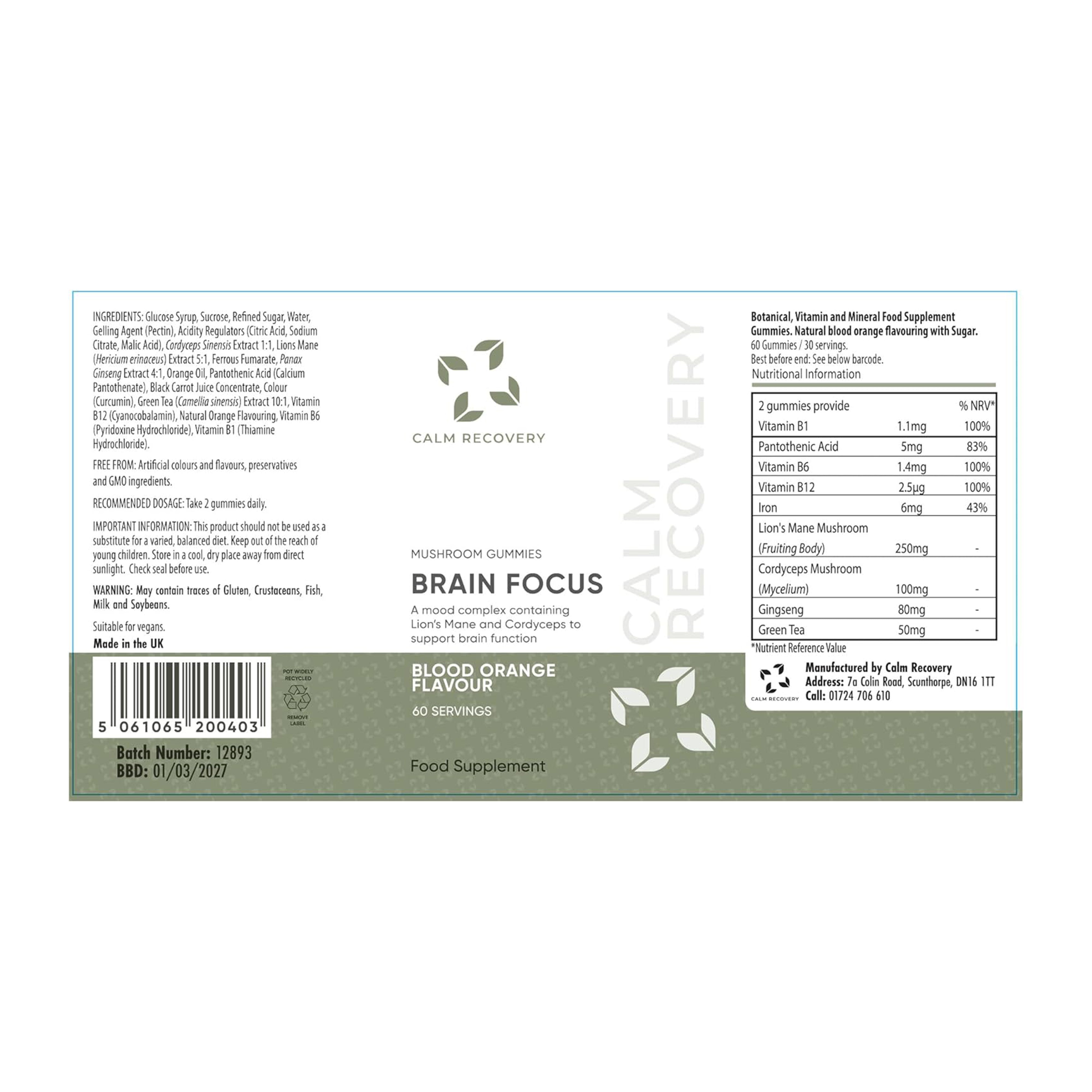 Brain Focus Mushroom Gummies