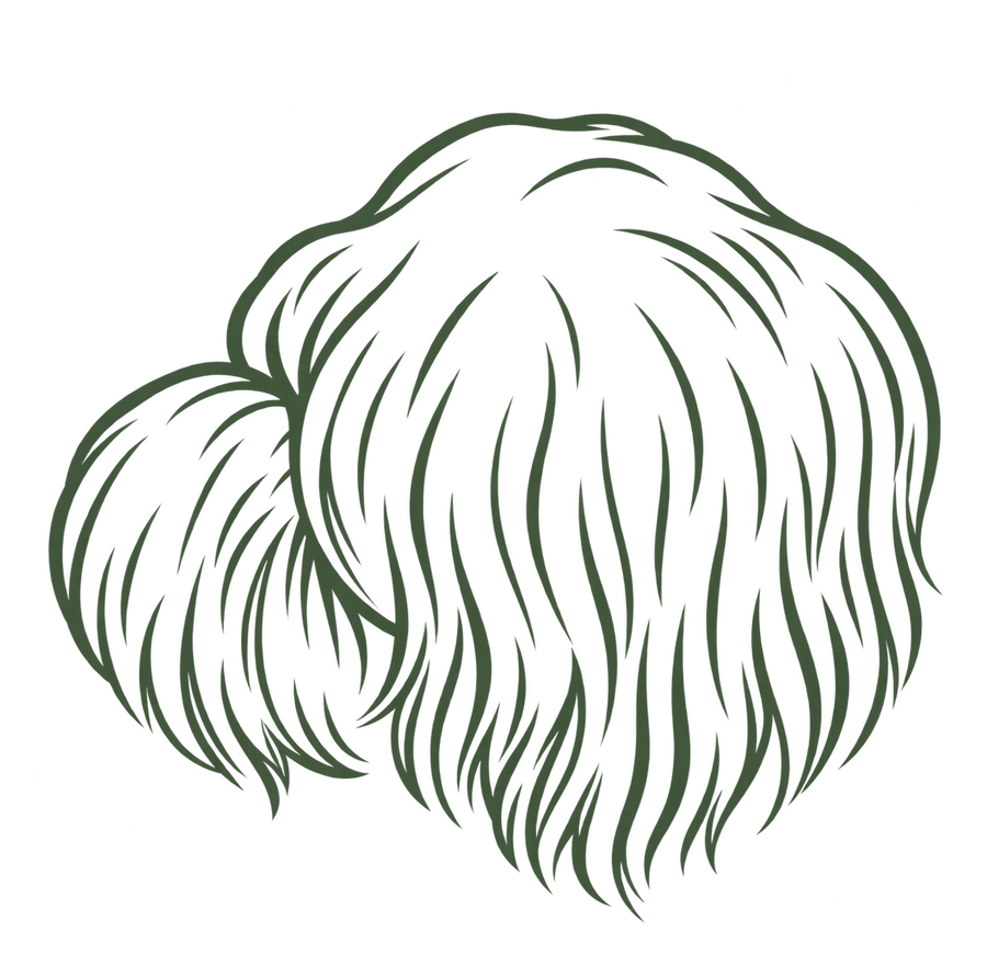 Lion's Mane