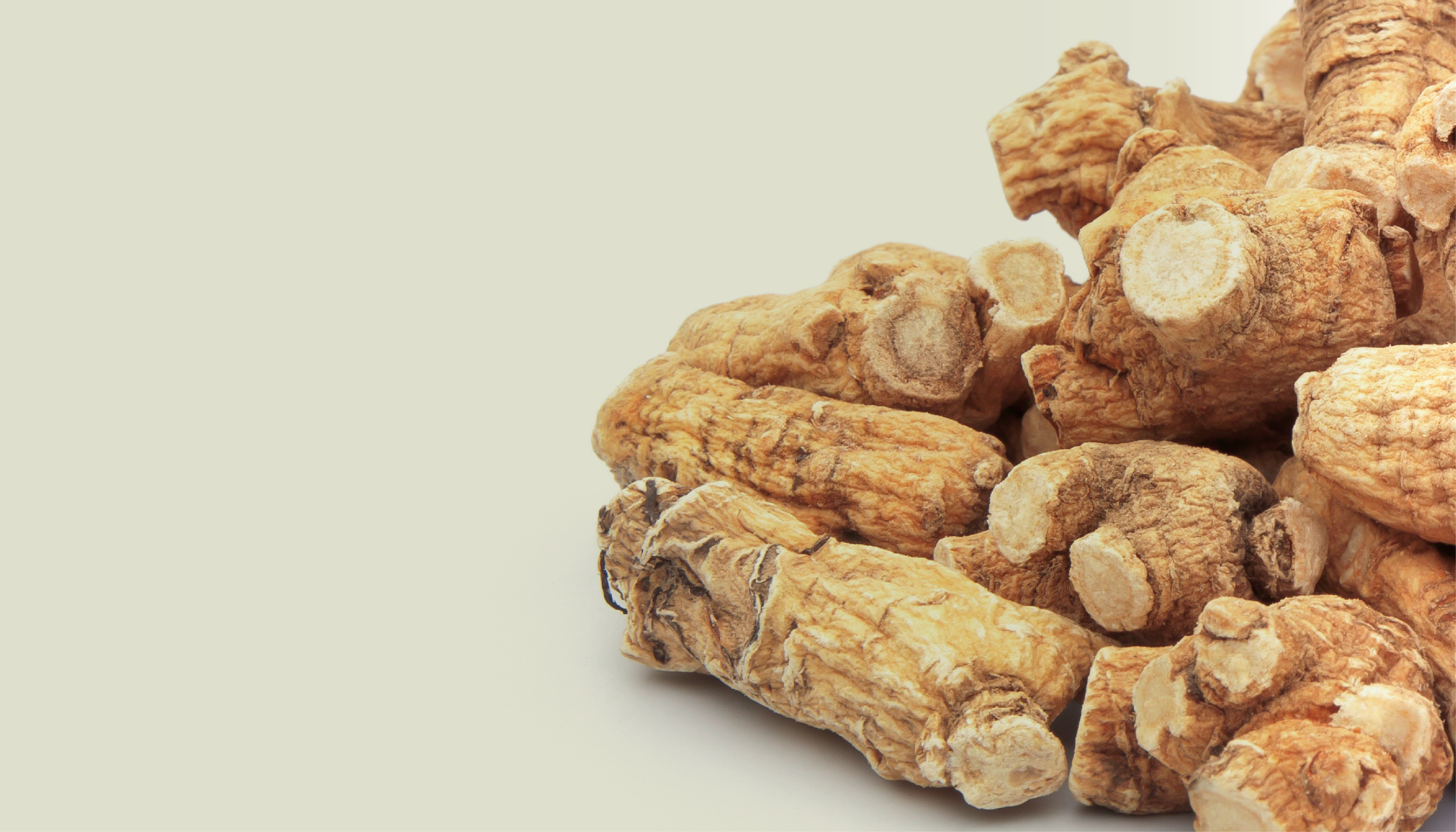 Ginseng close up image